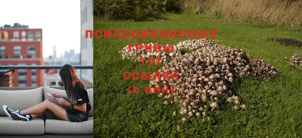 ALPHA-PVP Няндома