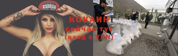 хмурый Арсеньев