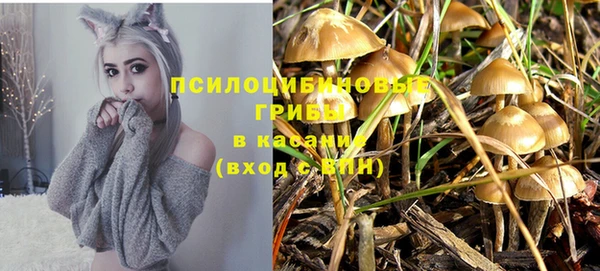 хмурый Арсеньев