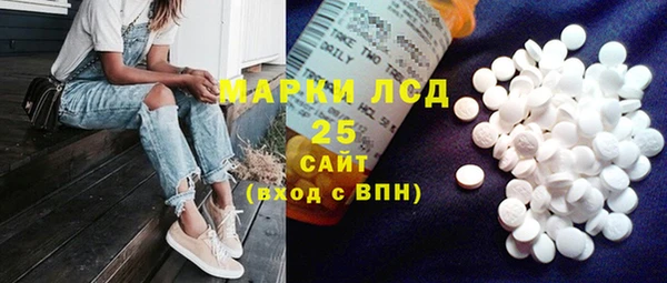 хмурый Арсеньев
